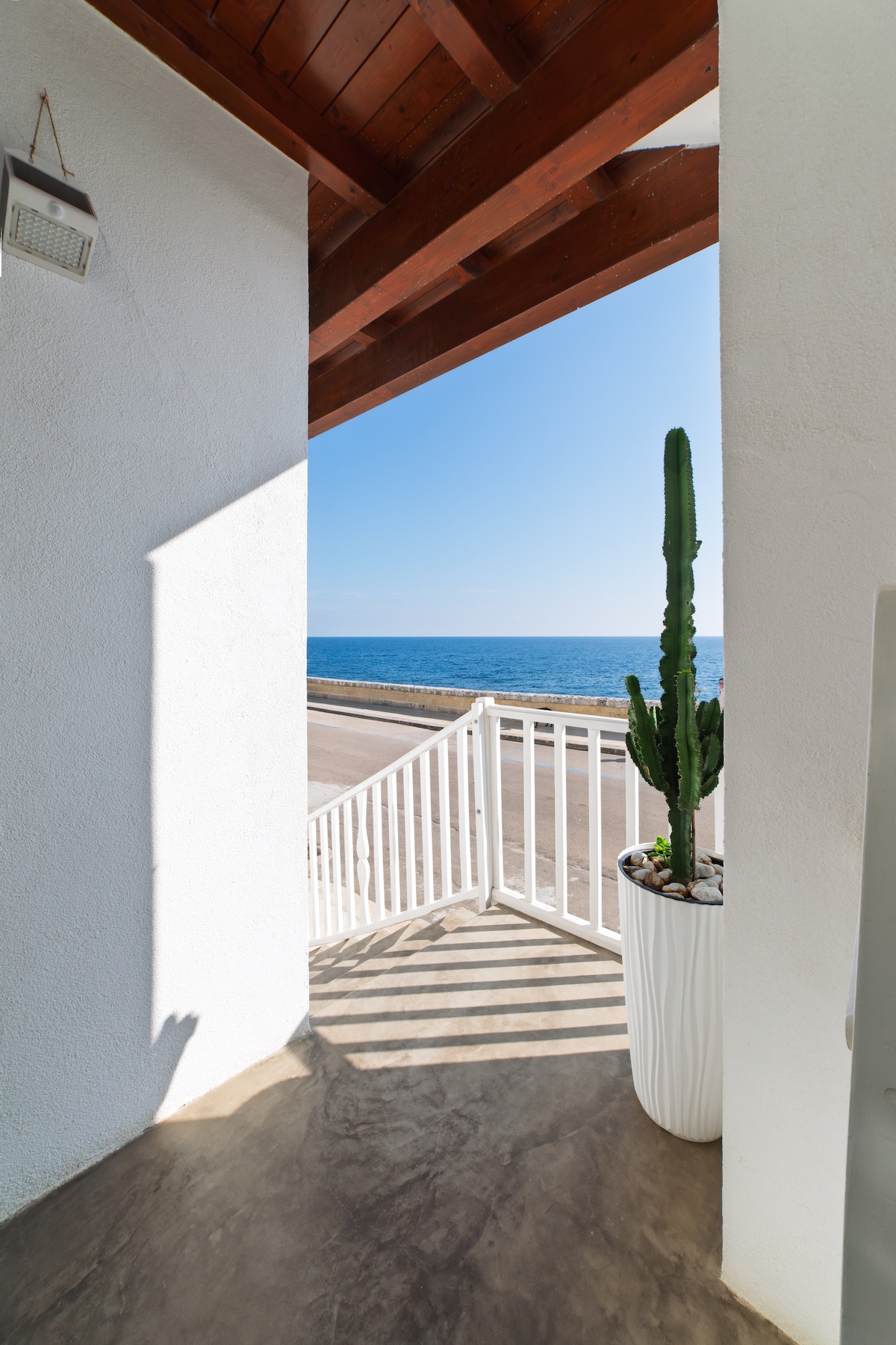 A view from the entrance showcases a clear blue sea beyond a white railing. A tall cactus in a white planter adds a touch of greenery to the patio area, while sunlight casts gentle shadows across the textured floor.