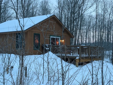 Star-gazing, quiet privacy in the forest