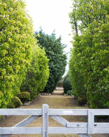 Raffah House gallery image 5