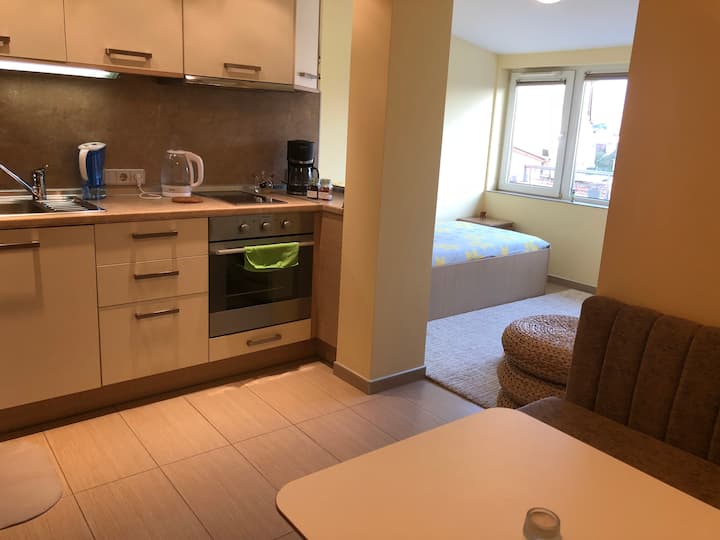 Spavaća soba s prelijepim pogledom na planinu Vitosha, South Park i Nacionalnu kulturnu palaču (NDK).