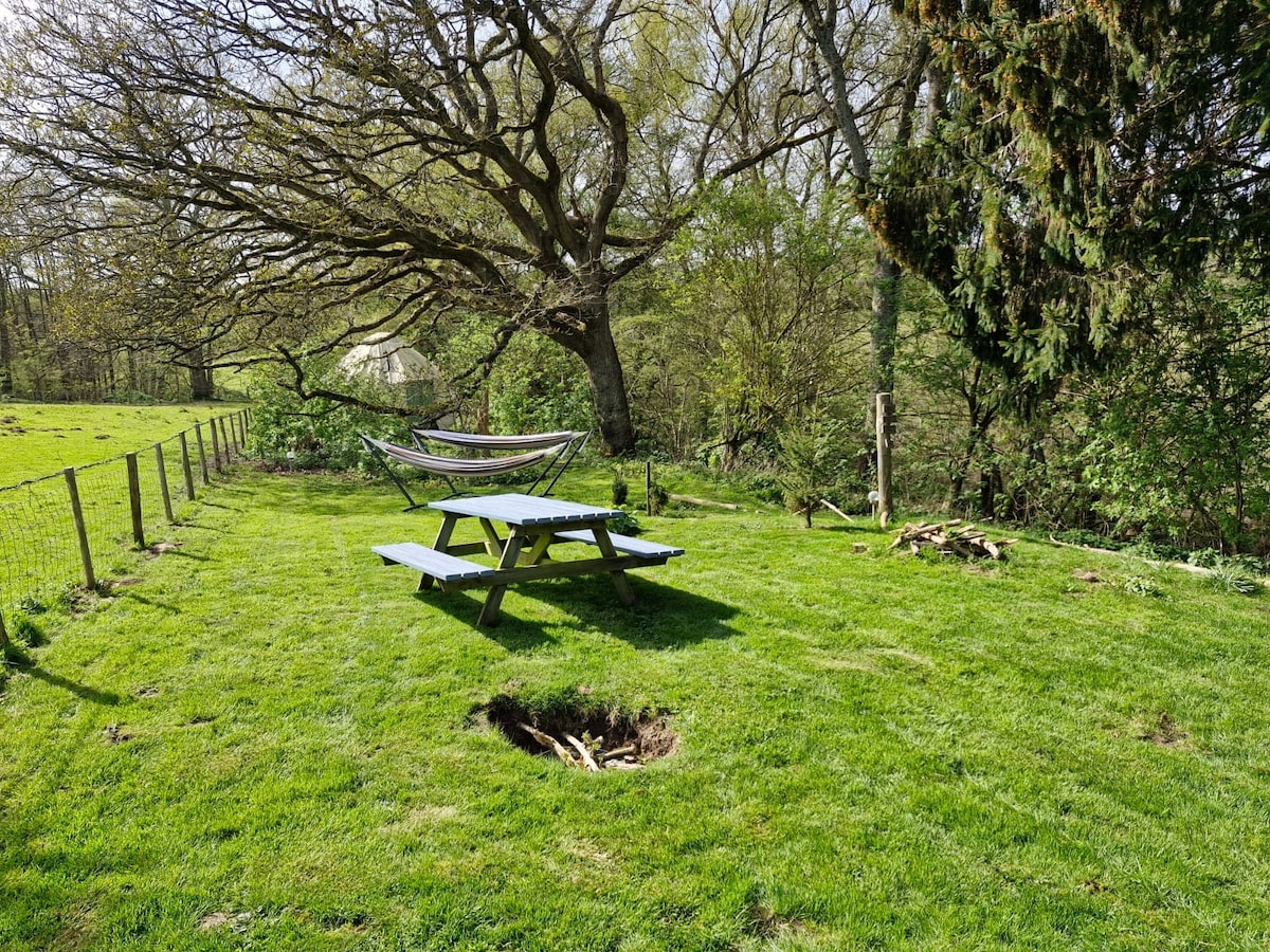 A green grassy area is presented, featuring a picnic table with benches and a hammock suspended between two trees. A small fire pit is positioned nearby, and a hole is visible in the ground, adding character to the natural landscape. Surrounding trees offer a sense of seclusion.
