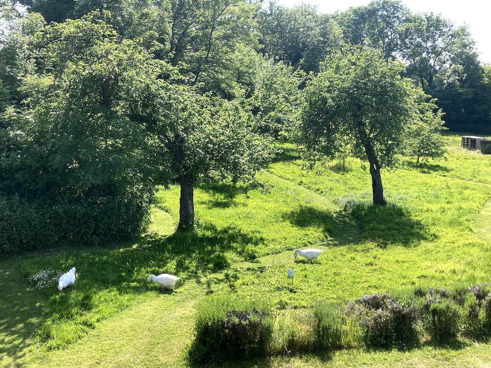 The Stables, by a stream and an old orchard in the Cotswolds, Kingswood, Cotswolds, United Kingdom, photo 3 of 10