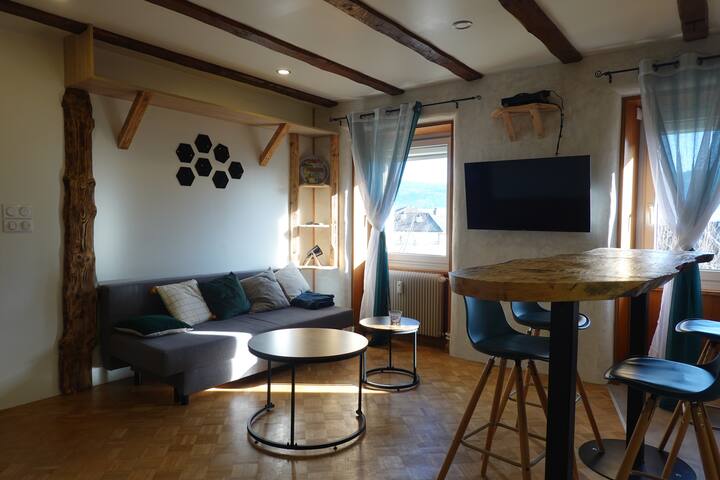 Morteau, Appartement Entier "Gentiane" 40 M2 - Villers-le-Lac