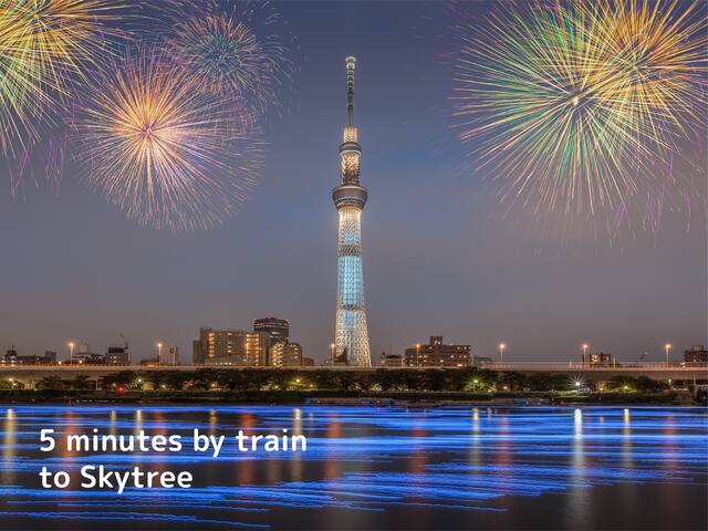 浅草や東京スカイツリーが近い小さな日本庭園の大きな家。広いテラスでゆったりと。最寄駅徒歩3分。 gallery image 2