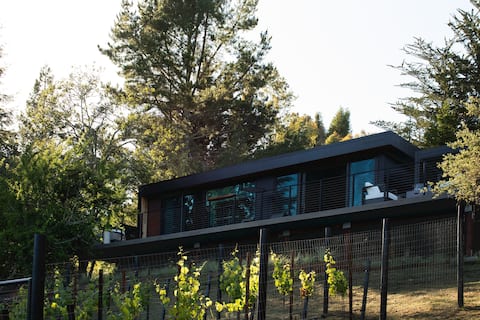 Modern Container Home with Vineyard Views   [NEW]