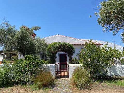 Splendid Oasis in the heart of Alentejo- FARMHOUSE