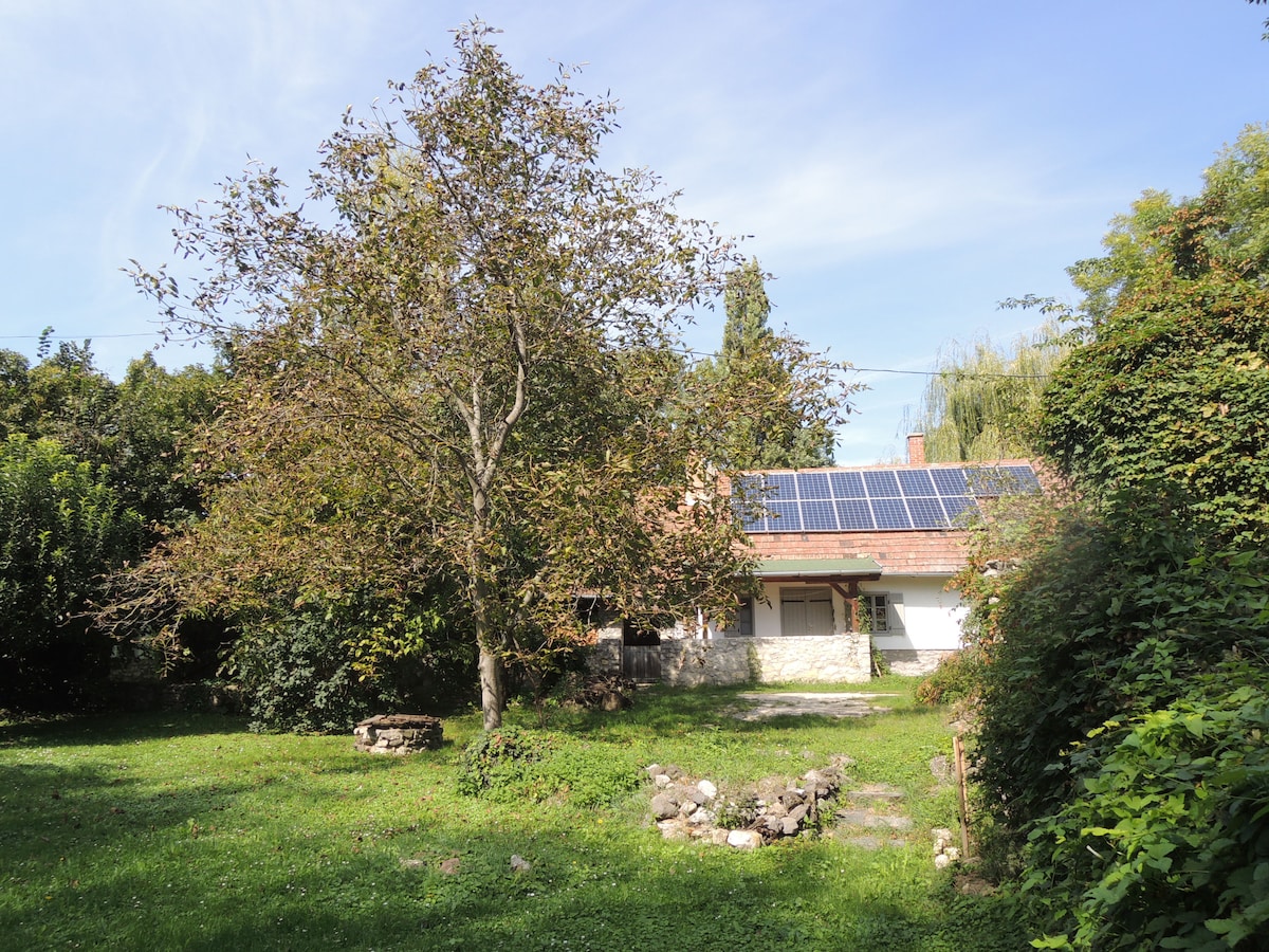 The image depicts a sunlit garden featuring a large tree surrounded by a grassy area. The renovated stone building, with solar panels atop its roof, is partially visible in the background. Natural greenery frames the scene, creating an inviting outdoor space.
