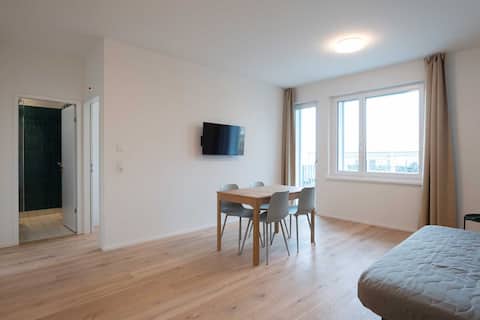 Top performing Airbnb: Letzigrund Blue 4 apartment in Altstetten