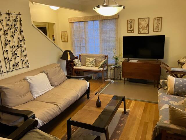 Bright, Airy Edwardian Home with Garden Sanctuary