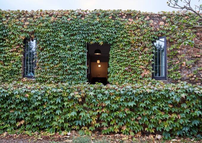 Cape Winelands House