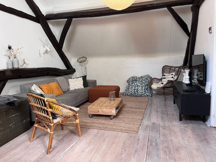Ruime Studio  In Sfeervolle Woonboerderij - Roosendaal