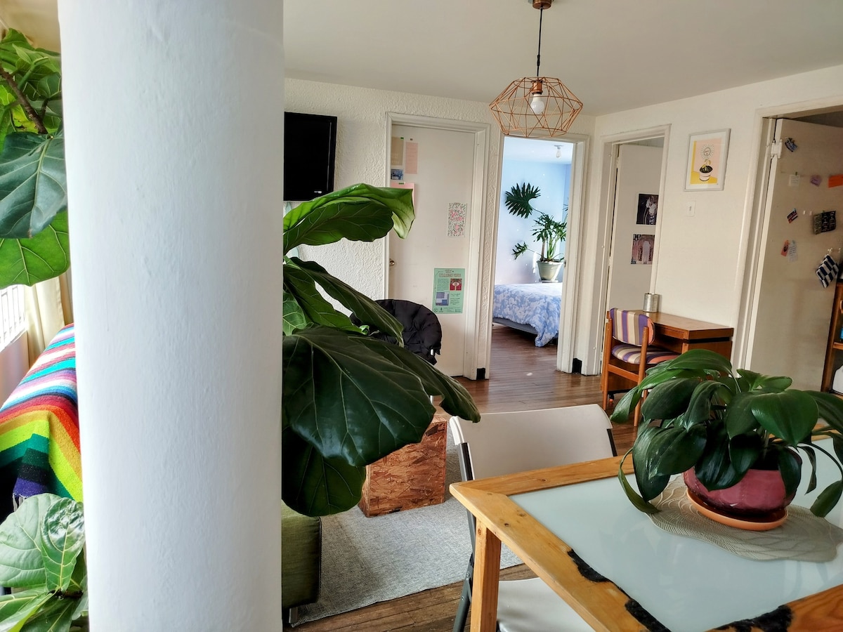 A cozy living area is presented, featuring a dining table with a potted plant. A colorful blanket drapes over a chair, while vibrant greenery fills the space. Doorways lead to a bedroom in the background, with natural light illuminating the inviting atmosphere.