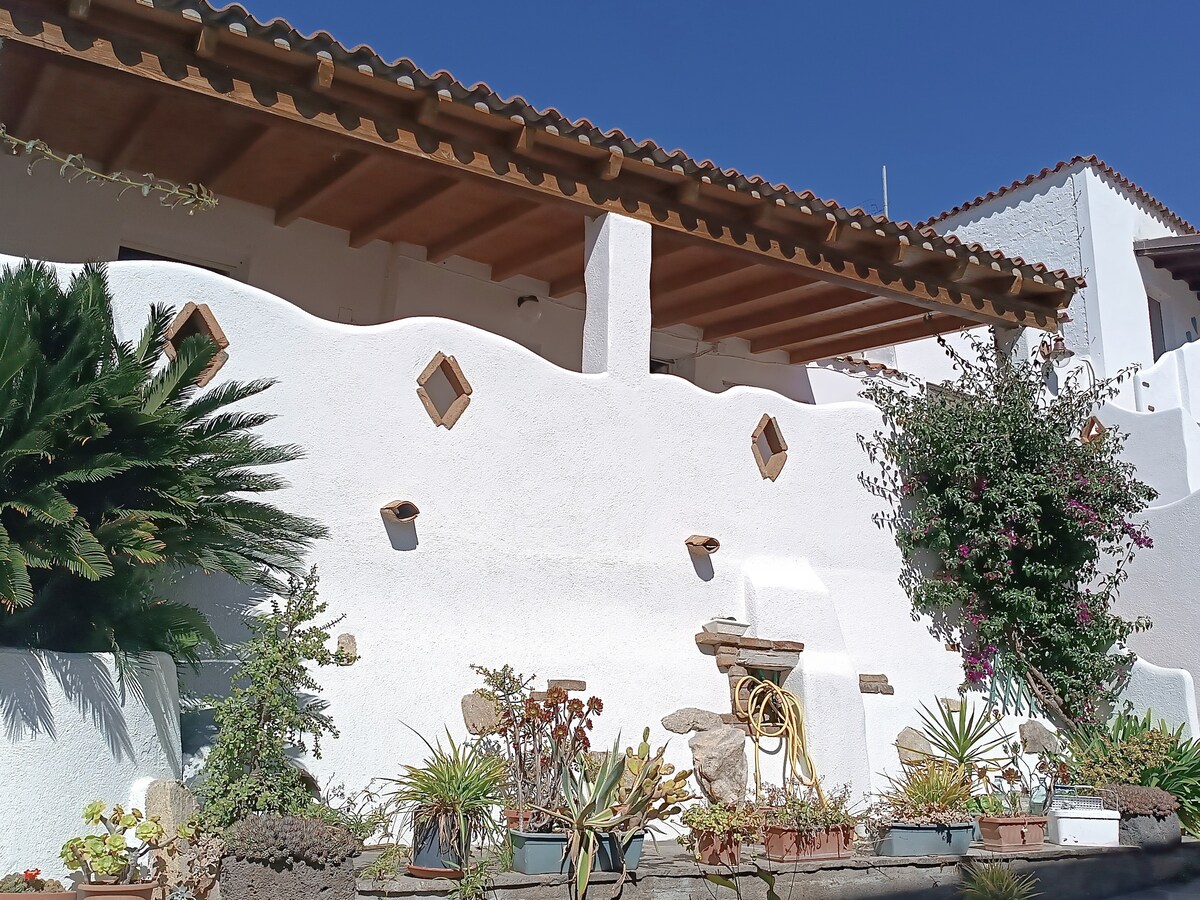 The exterior of a renovated house from the 1800s features a white stucco façade with decorative elements. A covered terrace is visible above, supported by wooden beams. Various plants are arranged in planters along the base, contributing to the natural ambiance surrounding the property.