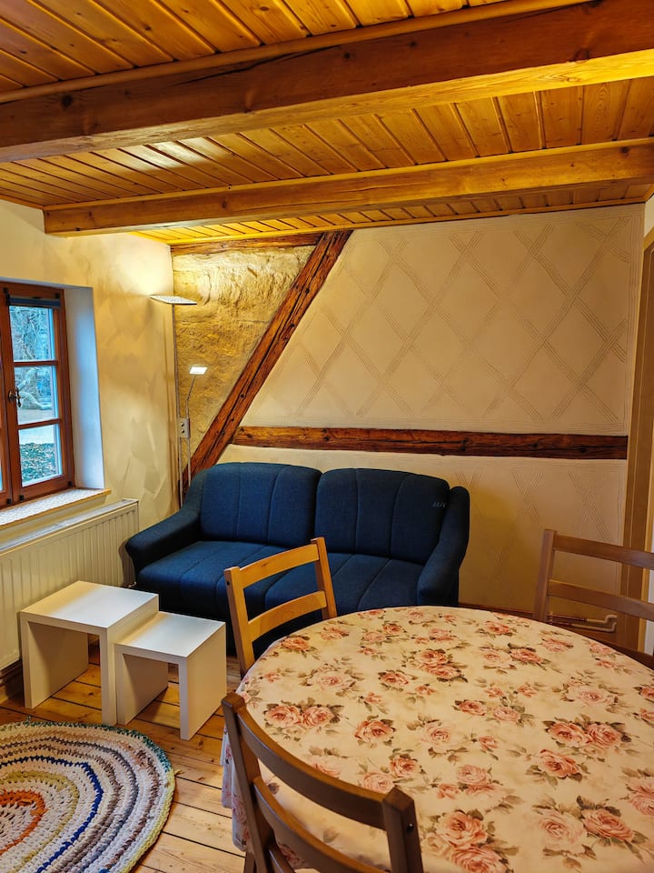 Appartement Lumineux Proche Du Zwinger - Saxony