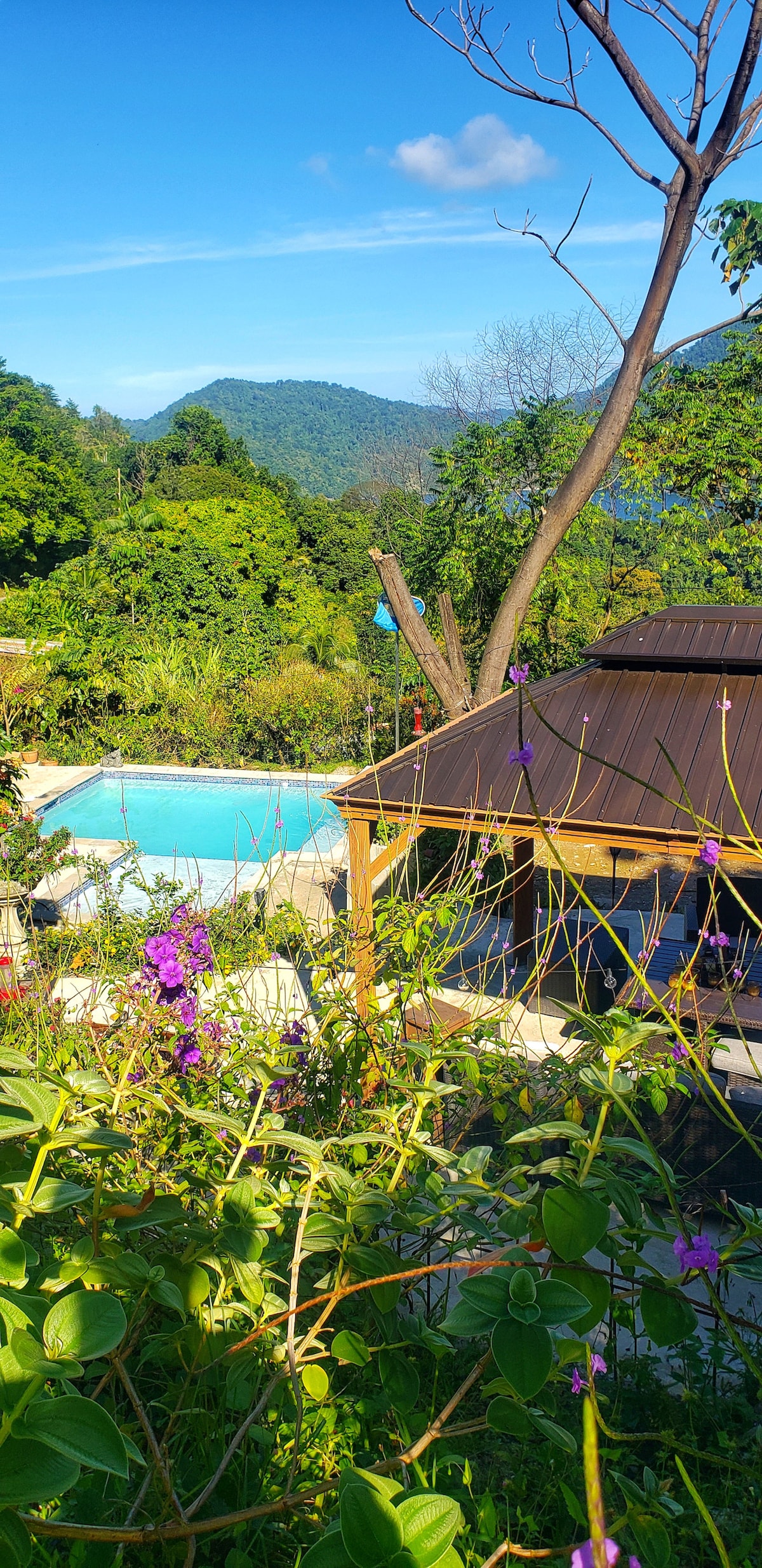 Lush greenery surrounds a tranquil swimming pool, reflecting the clear blue sky. A wooden structure with a metal roof is partially visible, harmonizing with the natural landscape. Colorful flowers add vibrant hues to the scene, which is framed by distant mountains.
