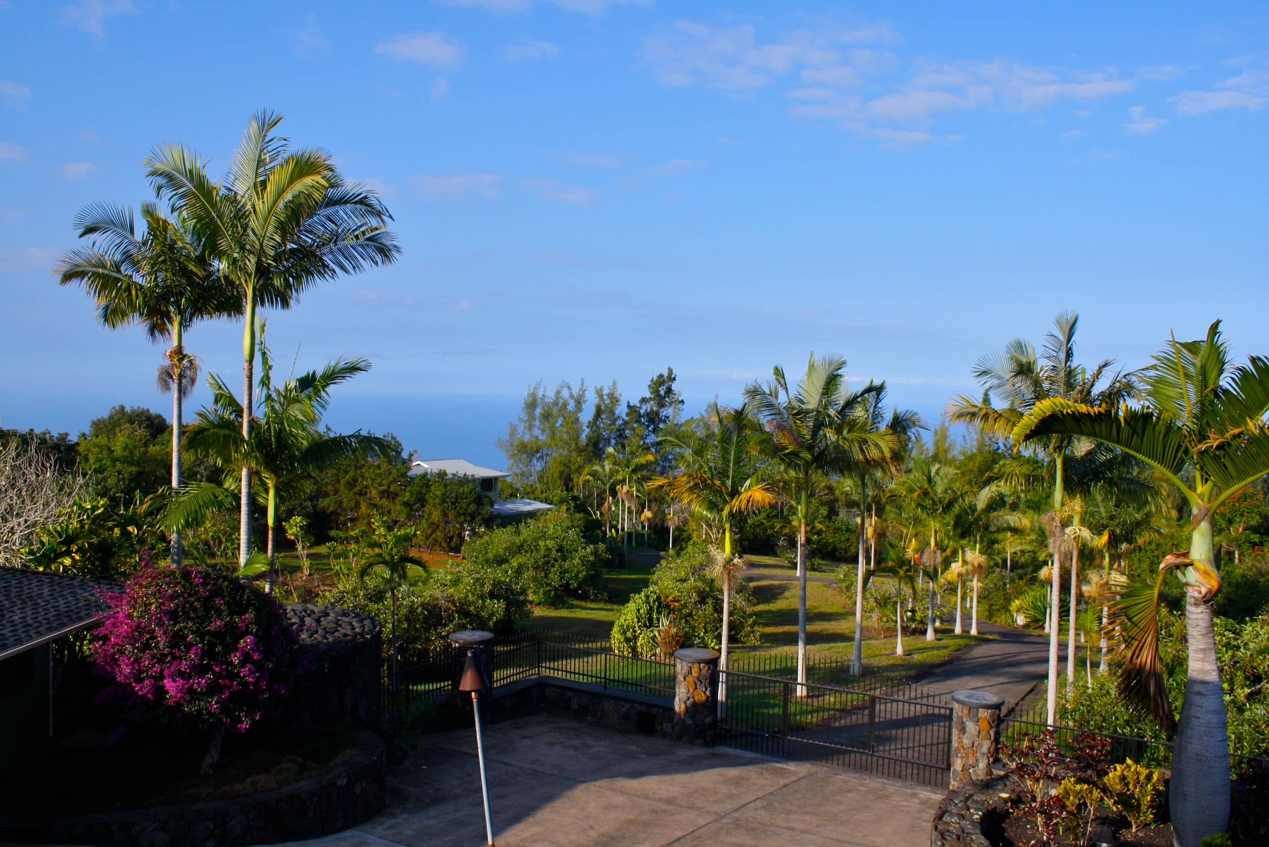 Luxury Pool, Oceanview, 7 acres of avos & fruit - Photo 29