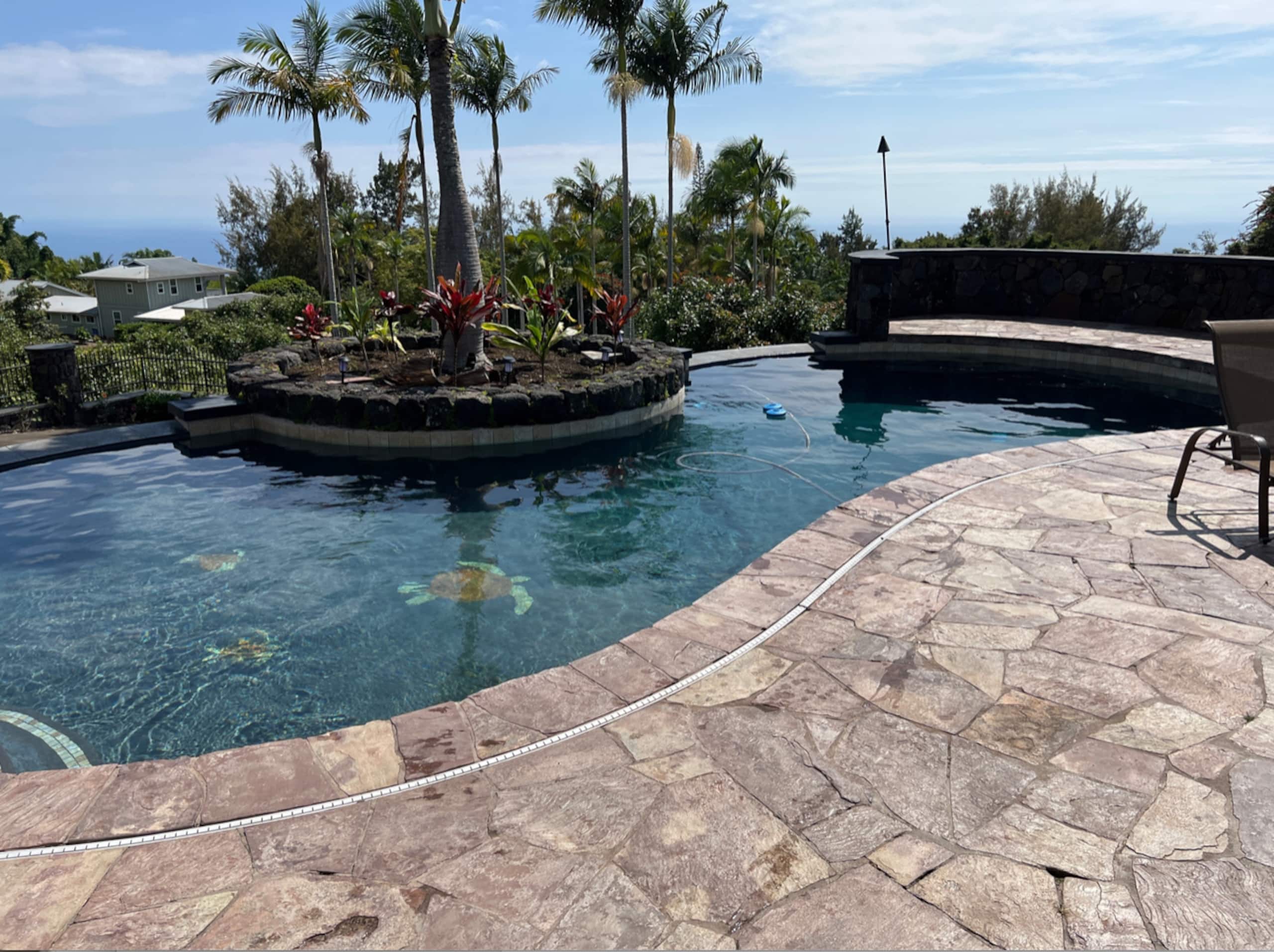 Luxury Pool, Oceanview, 7 acres of avos & fruit - Photo 37