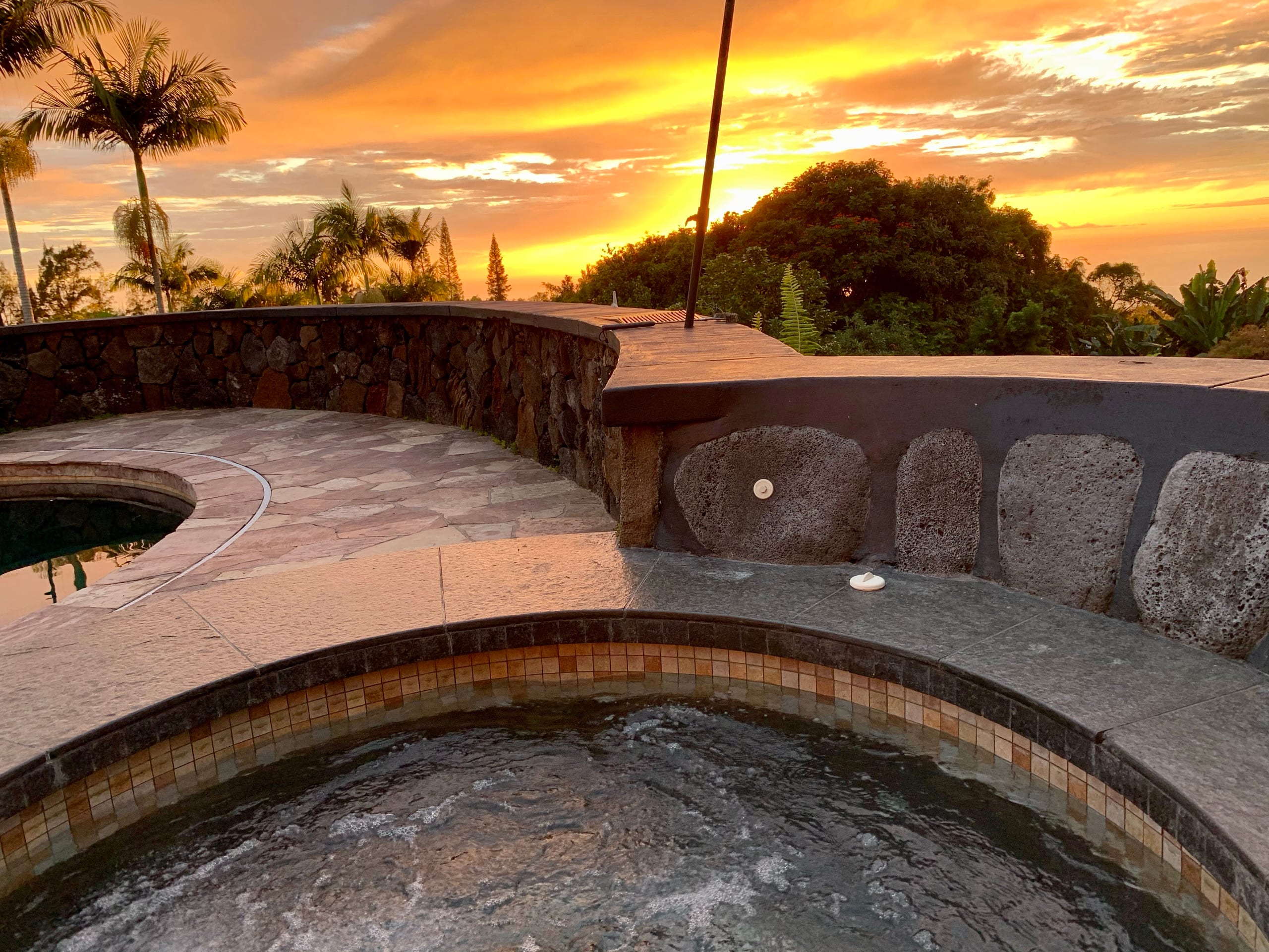 Luxury Pool, Oceanview, 7 acres of avos & fruit - Photo 36