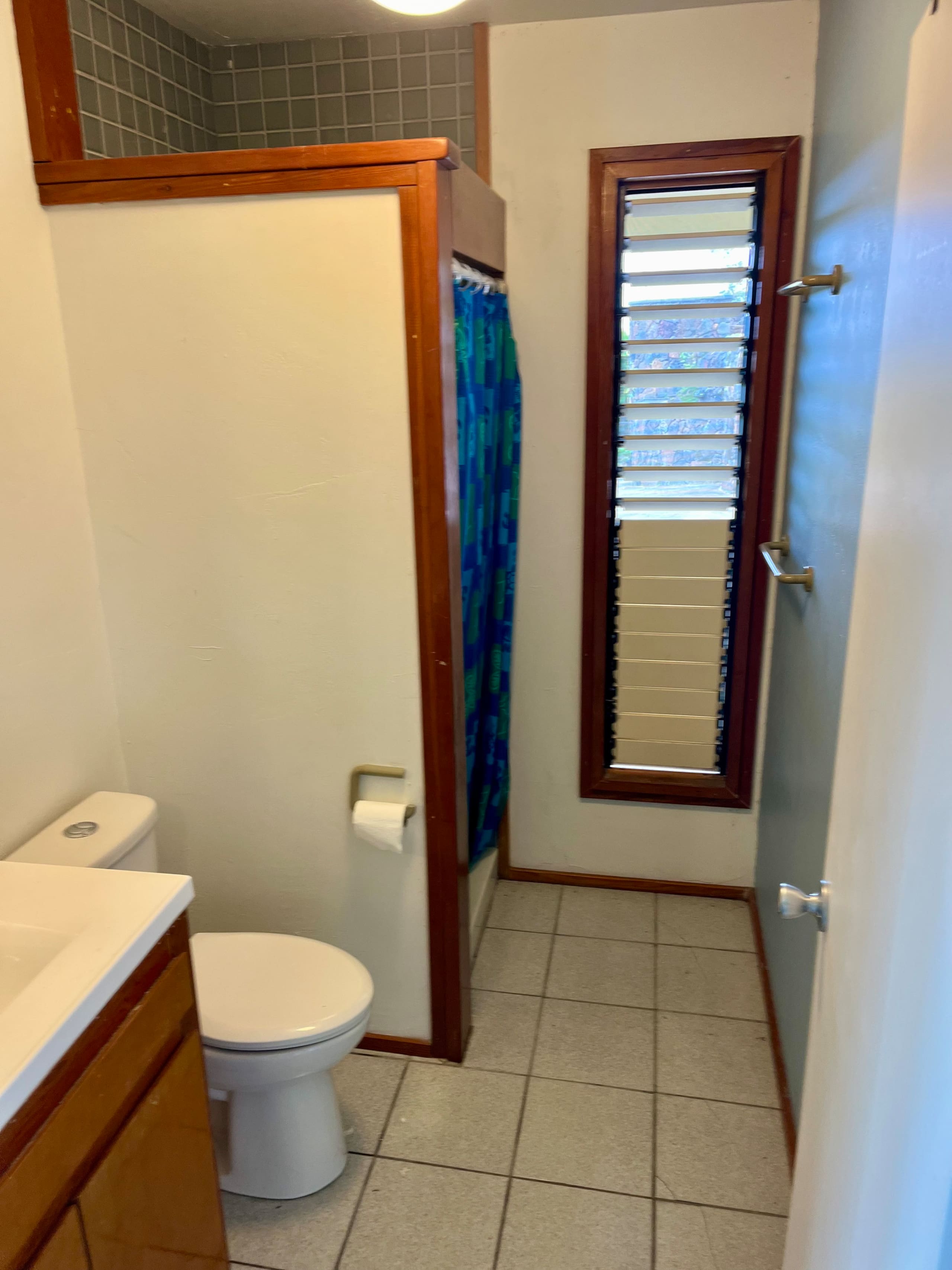 Luxury Pool, Oceanview, 7 acres of avos & fruit - Photo 24
