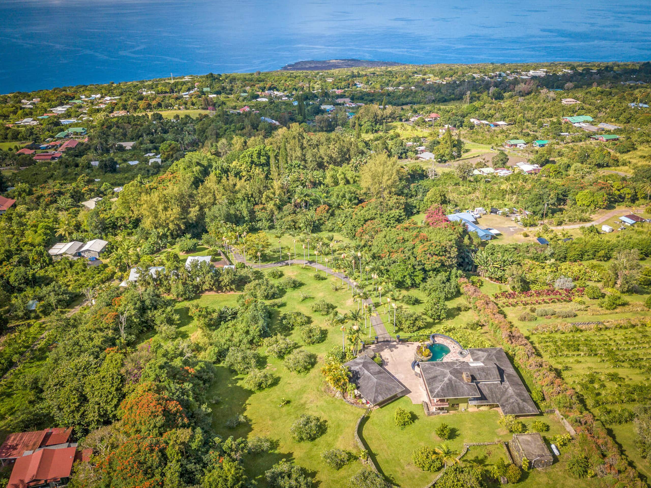 Luxury Pool, Oceanview, 7 acres of avos & fruit - Photo 27
