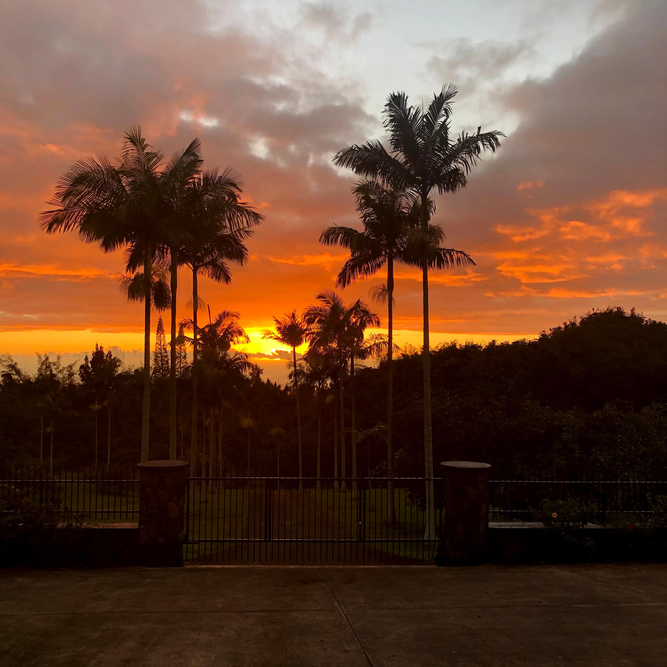 Luxury Pool, Oceanview, 7 acres of avos & fruit - Photo 28