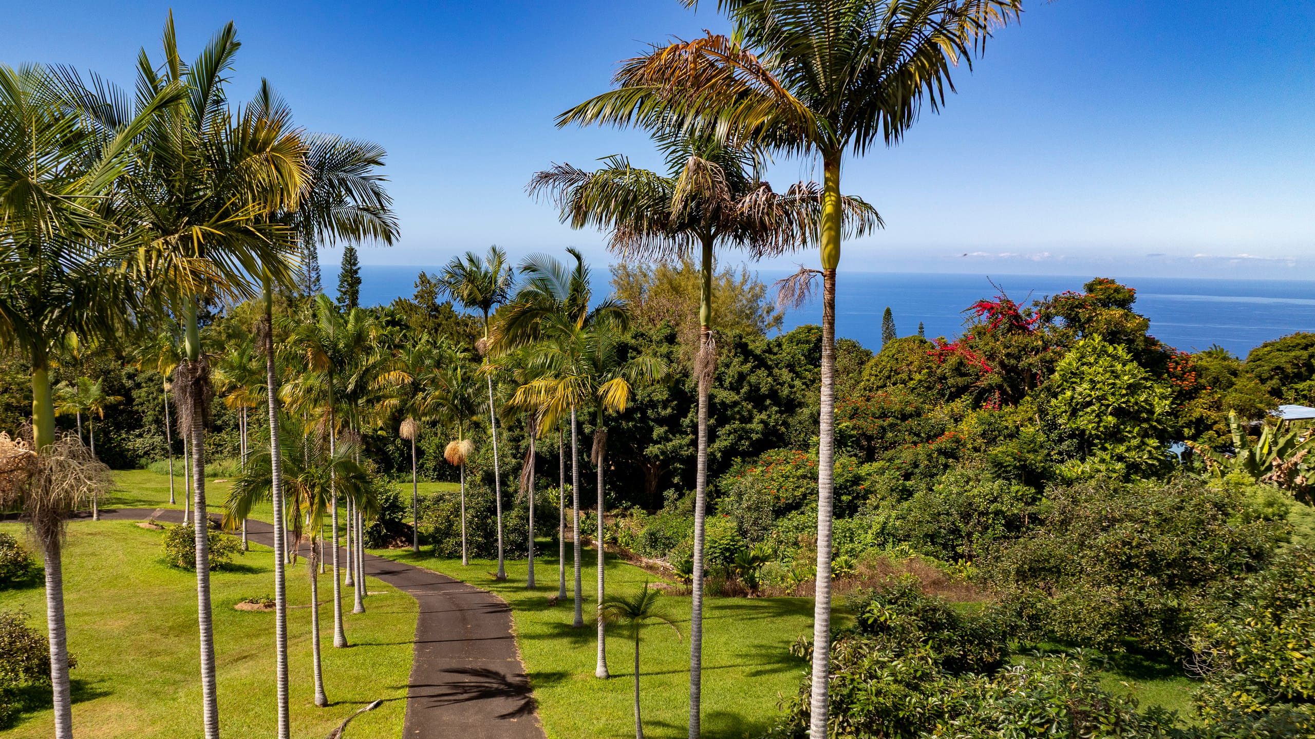 Luxury Pool, Oceanview, 7 acres of avos & fruit - Photo 33