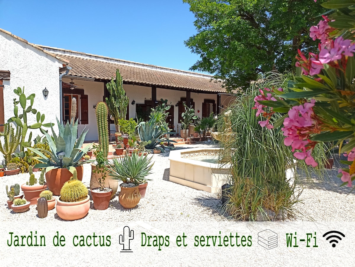 The outdoor area showcases a cactus garden filled with various succulents and pots, surrounded by a pebbled pathway. A fountain stands centrally among the greenery, providing a serene atmosphere. The entrance to the villa is visible in the background, hinting at the peaceful accommodation inside.