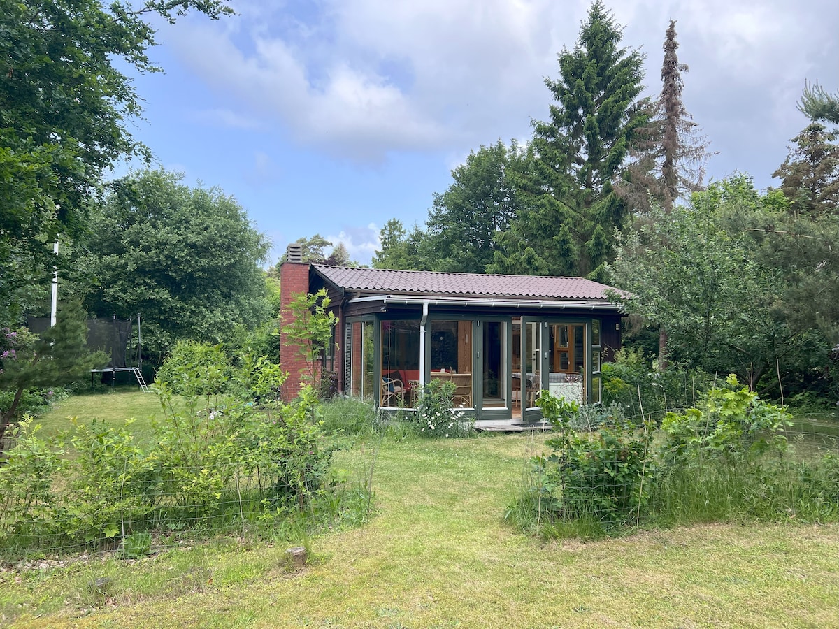 A summerhouse is set amid lush greenery, surrounded by trees and shrubbery. The structure features large windows, allowing natural light to fill the interior. A grassy area is visible around the house, enhancing the calm atmosphere of the outdoor space.
