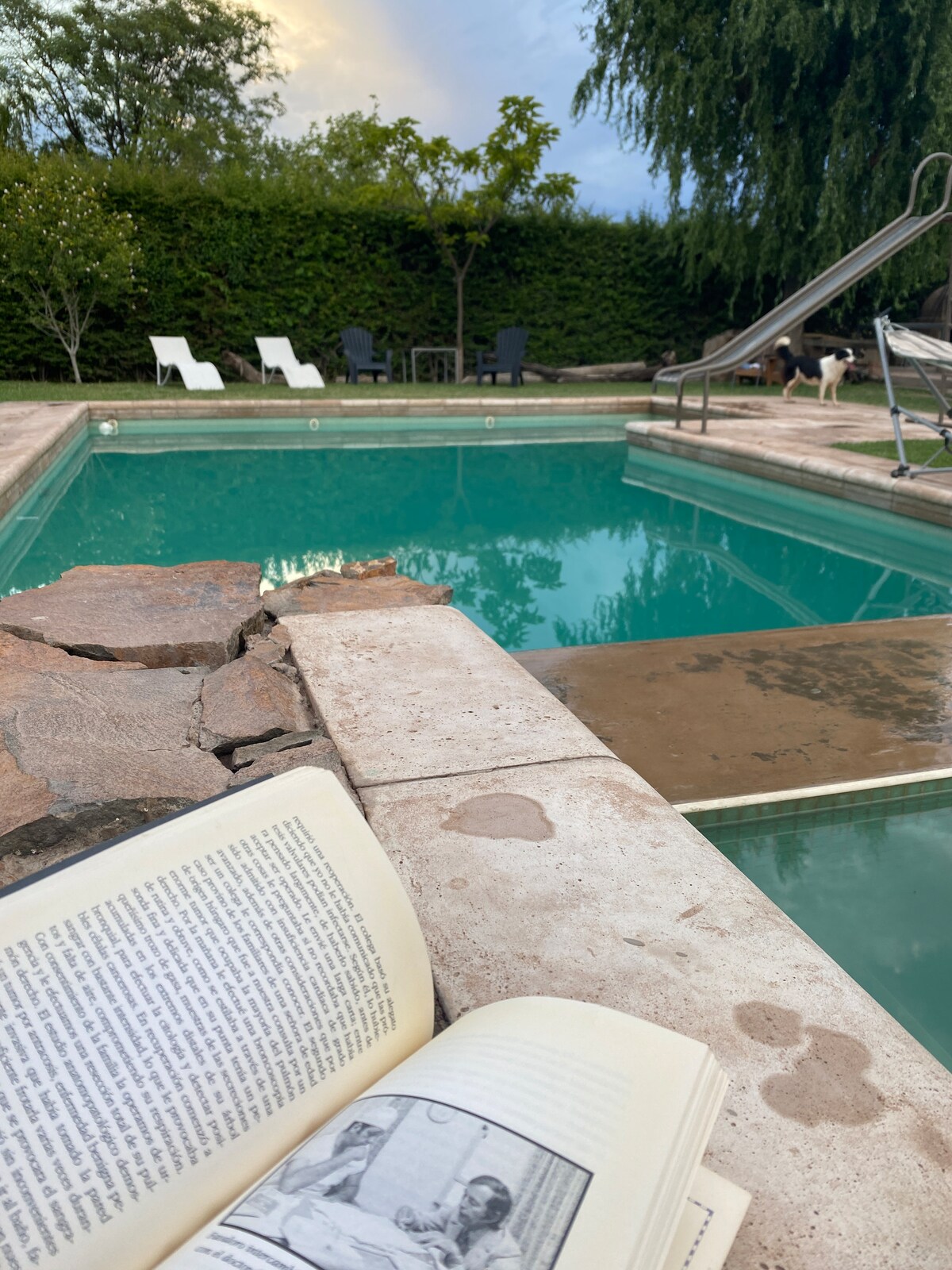 A swimming pool is captured with clear turquoise water, surrounded by greenery. Two white lounge chairs and a set of dark chairs are seen in the background. An open book lies on the pool's edge, showcasing interesting pages while sunlight casts a soft glow.