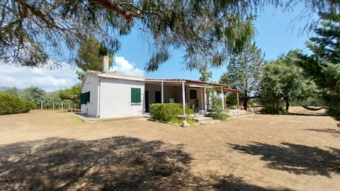 Popular Airbnb listing: Casa Orrù - Hibiscus Room in Castiadas