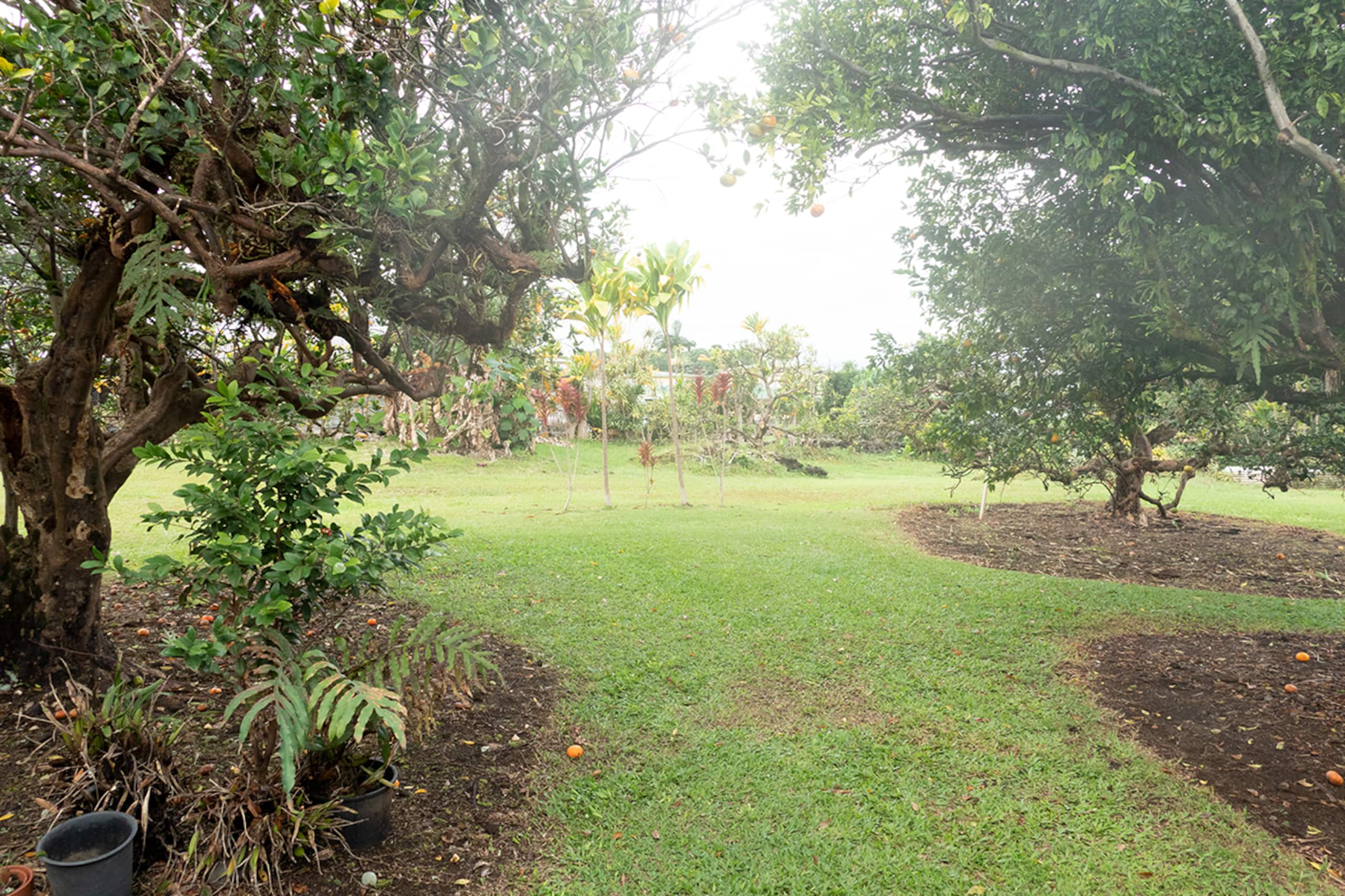 Home in Hilo · ★4.77 · 3 bedrooms · 4 beds · 2.5 private baths - Image 15