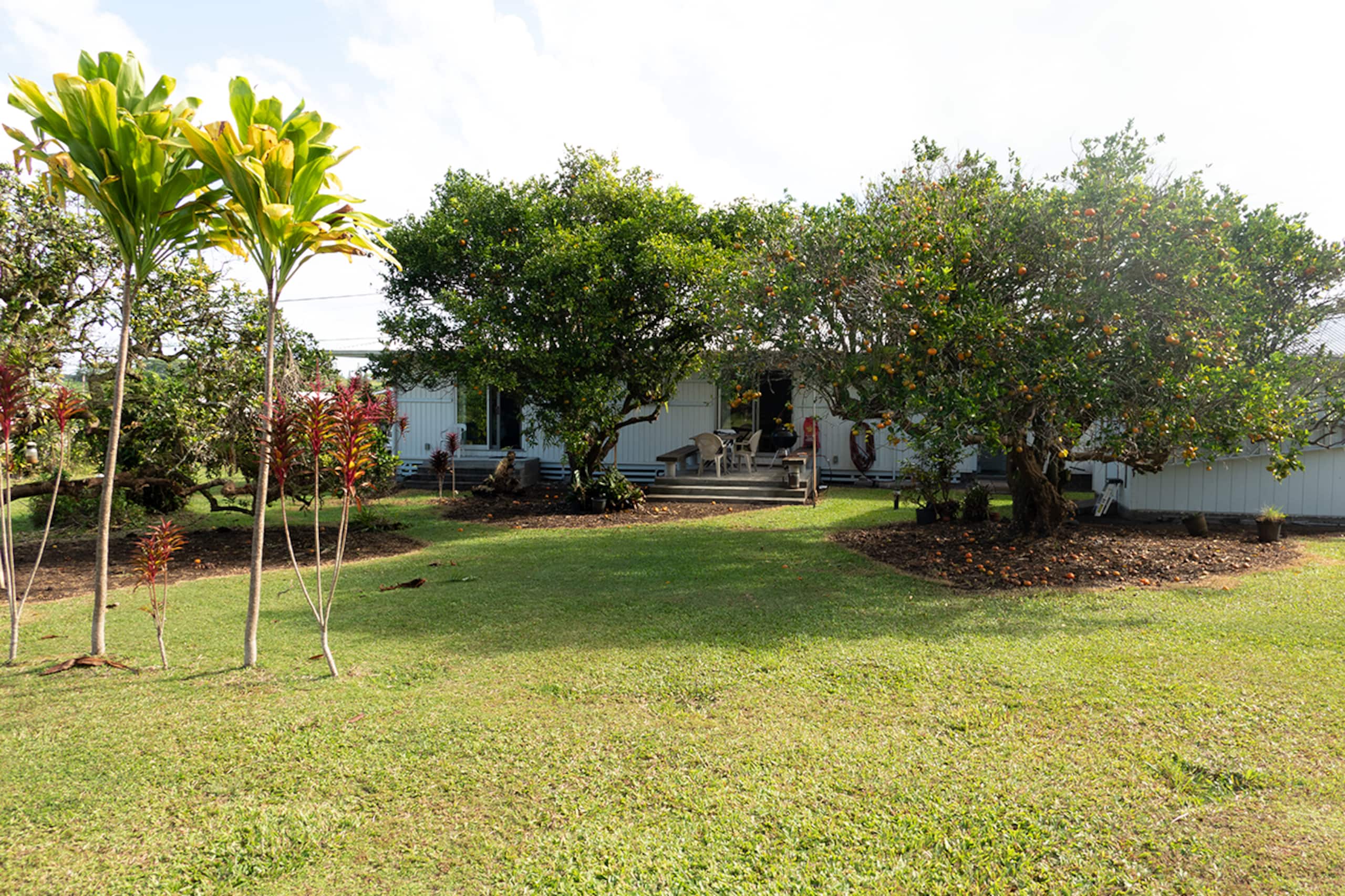 Home in Hilo · ★4.77 · 3 bedrooms · 4 beds · 2.5 private baths - Image 10