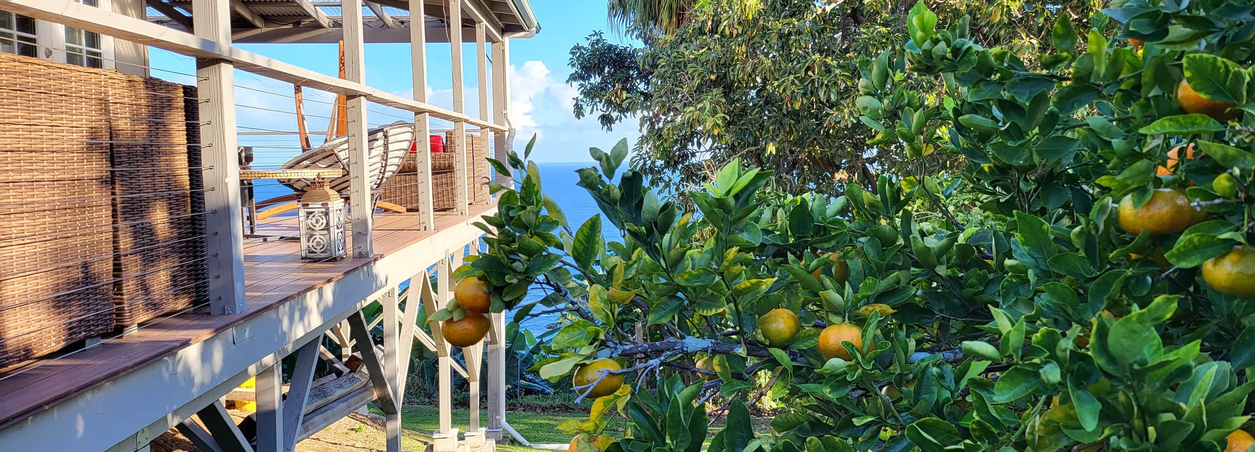 Home in Laupahoehoe · ★4.94 · 2 bedrooms · 2 beds · 1.5 baths - Photo 35
