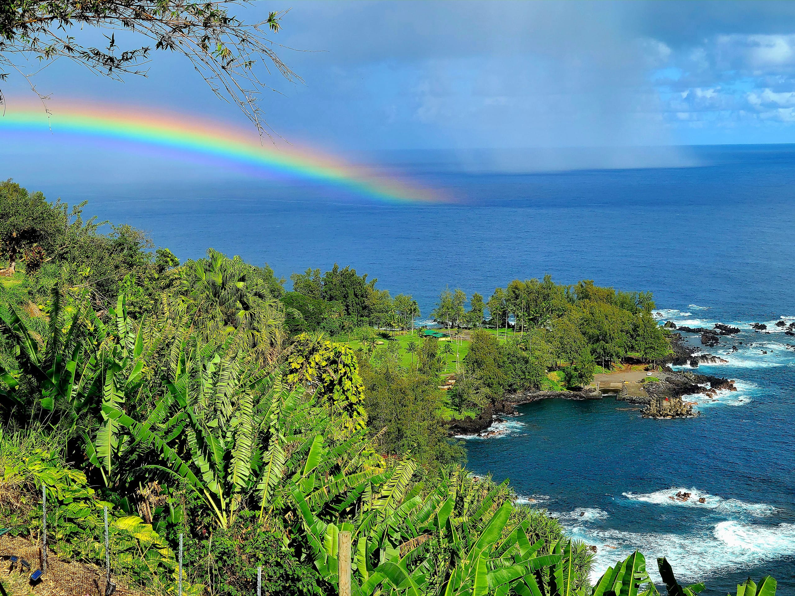 Home in Laupahoehoe · ★4.94 · 2 bedrooms · 2 beds · 1.5 baths - Photo 23