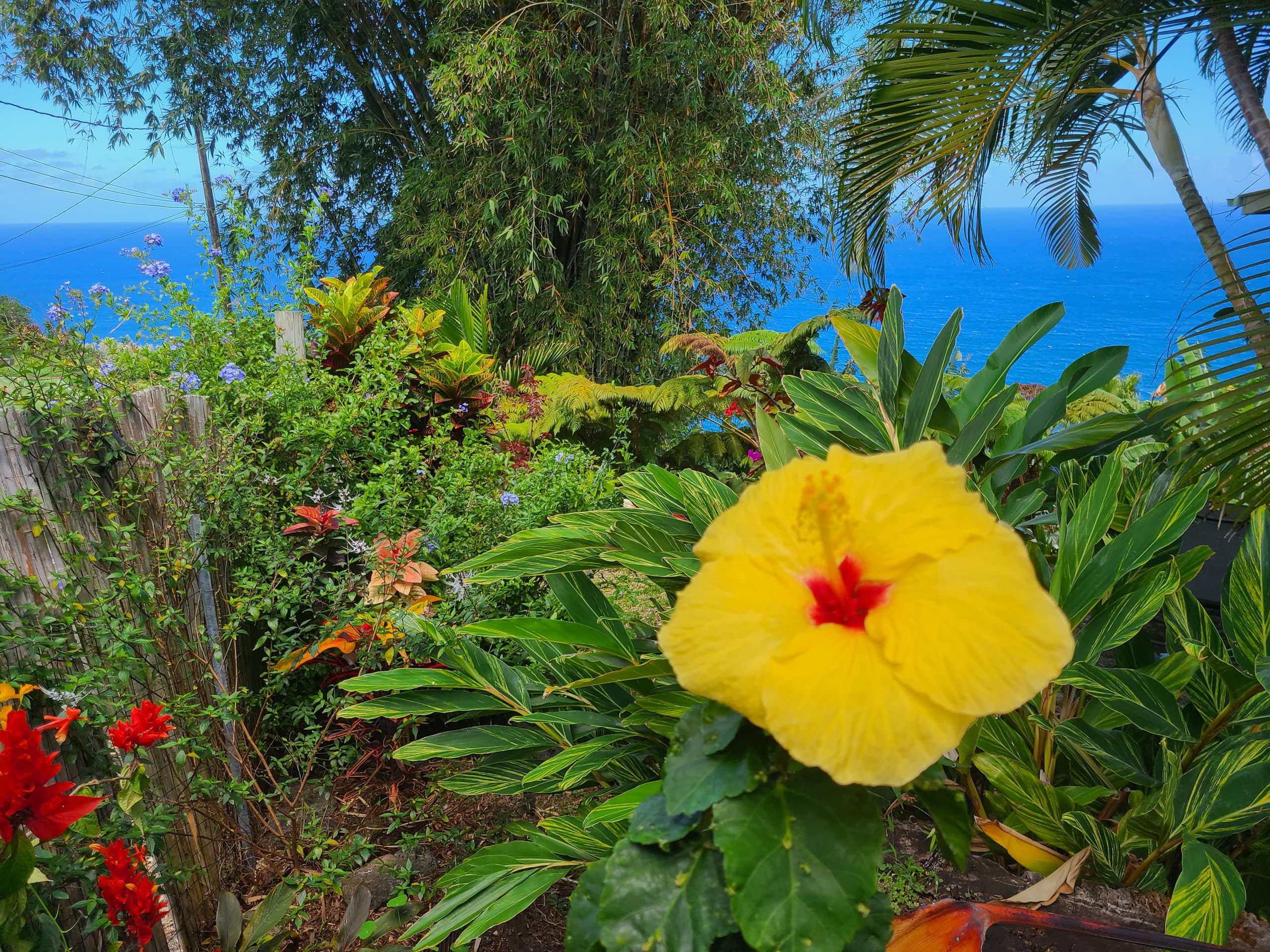 Home in Laupahoehoe · ★4.94 · 2 bedrooms · 2 beds · 1.5 baths - Photo 27