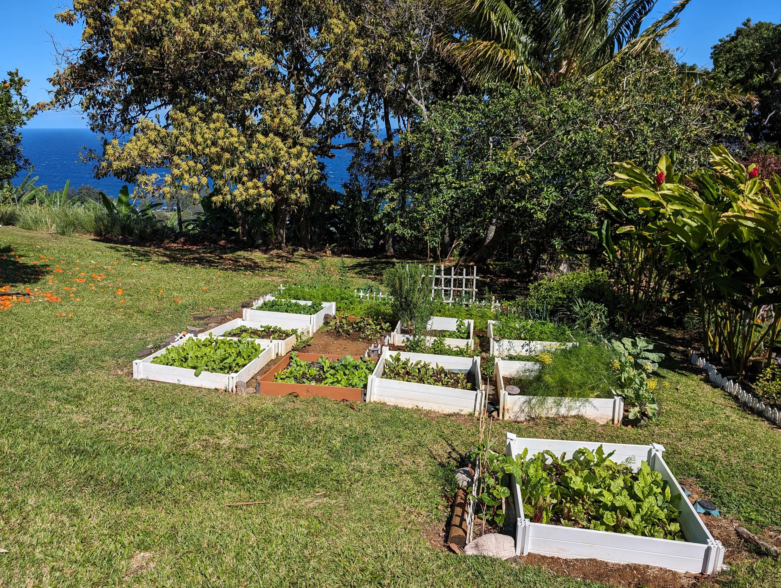 Home in Laupahoehoe · ★4.94 · 2 bedrooms · 2 beds · 1.5 baths - Photo 20