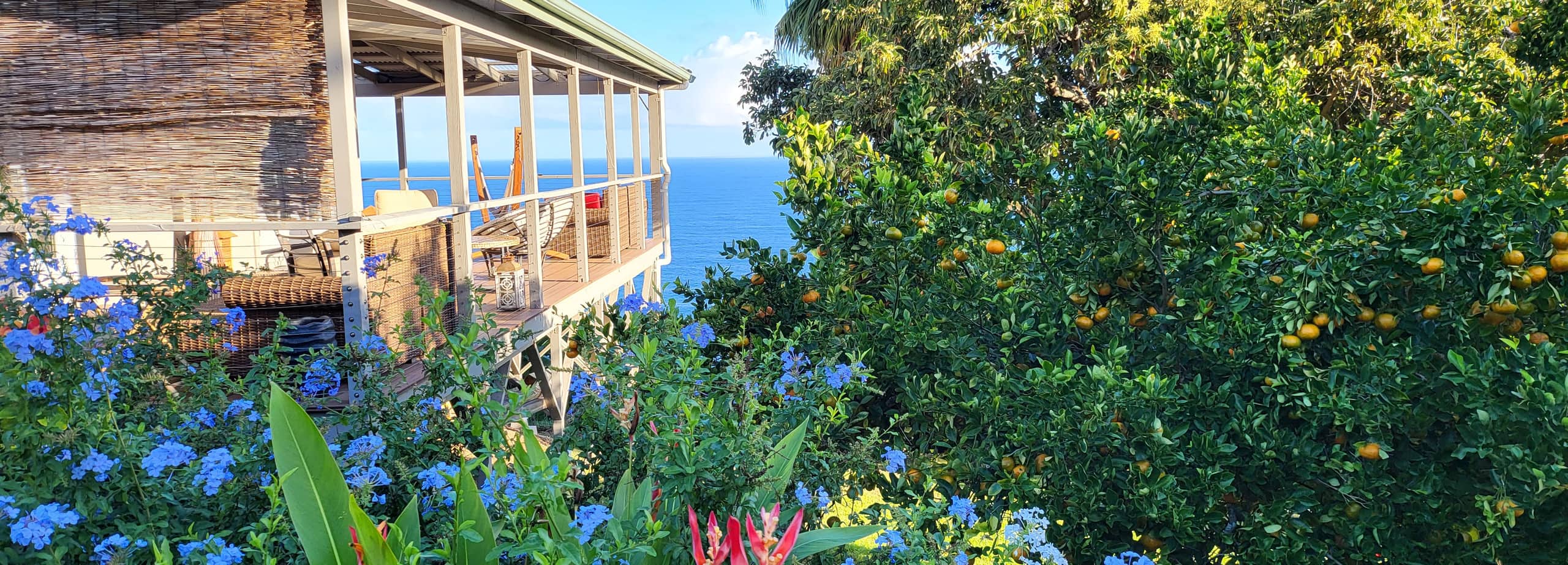 Home in Laupahoehoe · ★4.94 · 2 bedrooms · 2 beds · 1.5 baths - Photo 107
