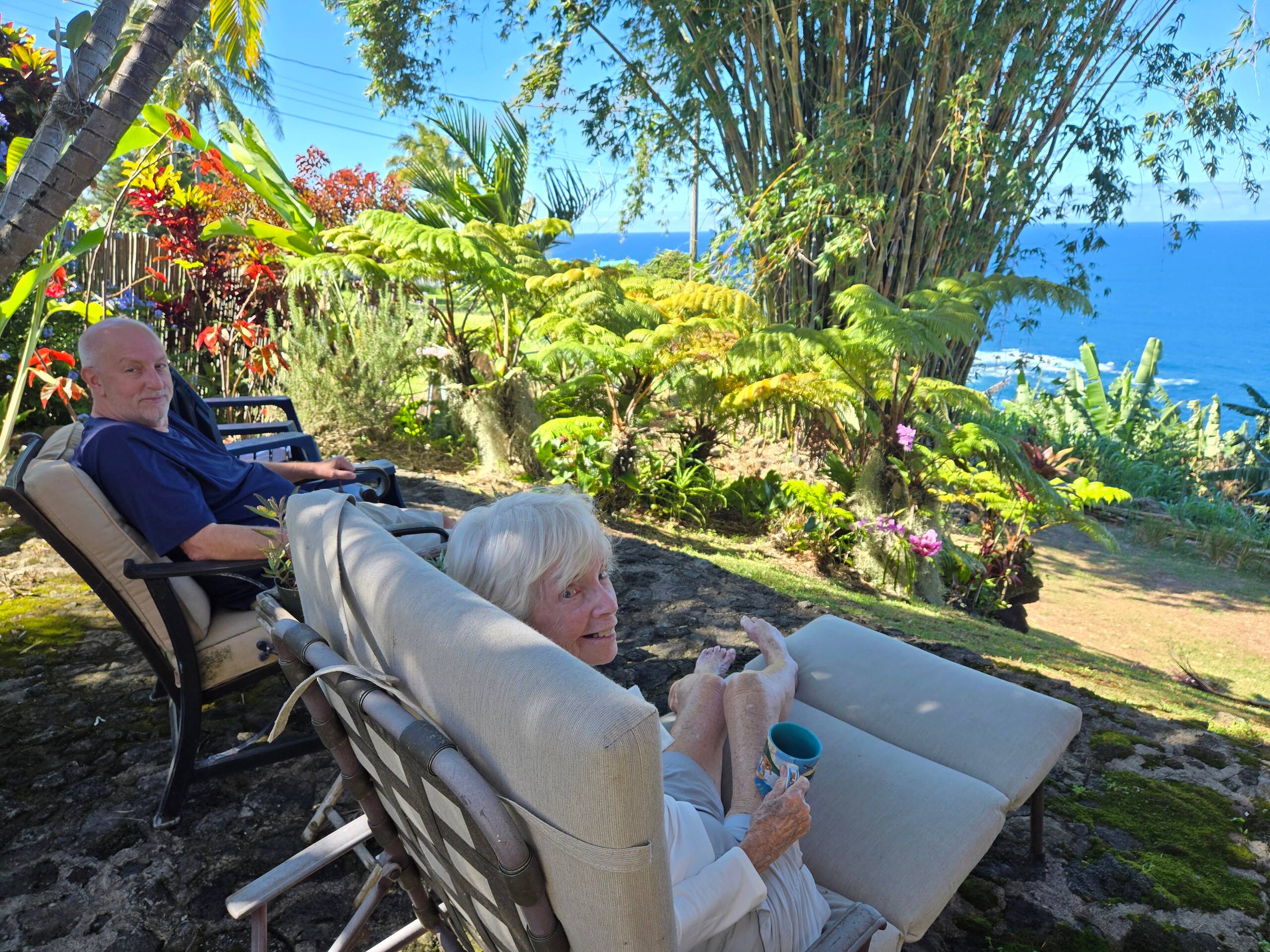 Home in Laupahoehoe · ★4.94 · 2 bedrooms · 2 beds · 1.5 baths - Photo 41