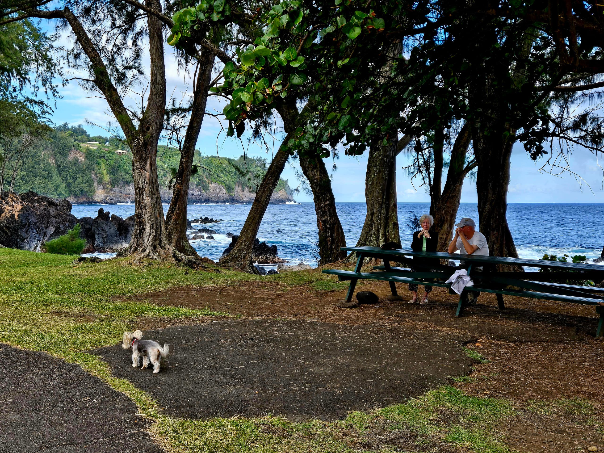 Home in Laupahoehoe · ★4.94 · 2 bedrooms · 2 beds · 1.5 baths - Photo 109