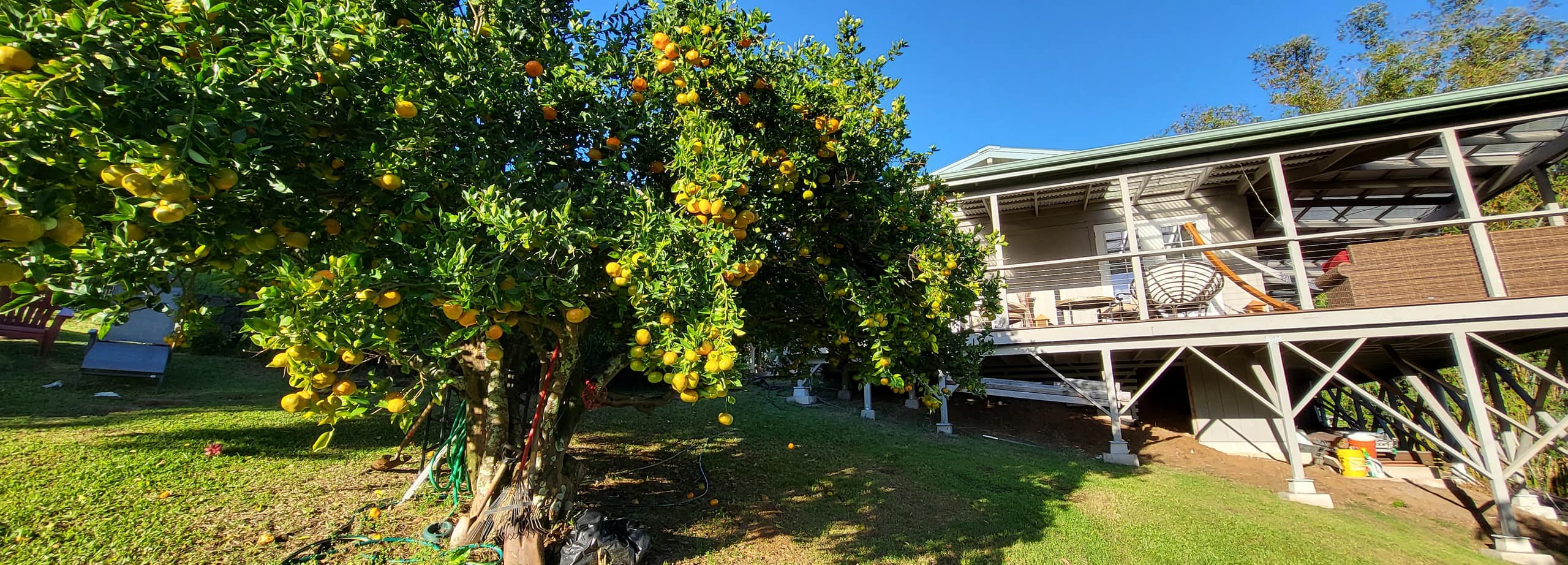 Home in Laupahoehoe · ★4.94 · 2 bedrooms · 2 beds · 1.5 baths - Photo 34