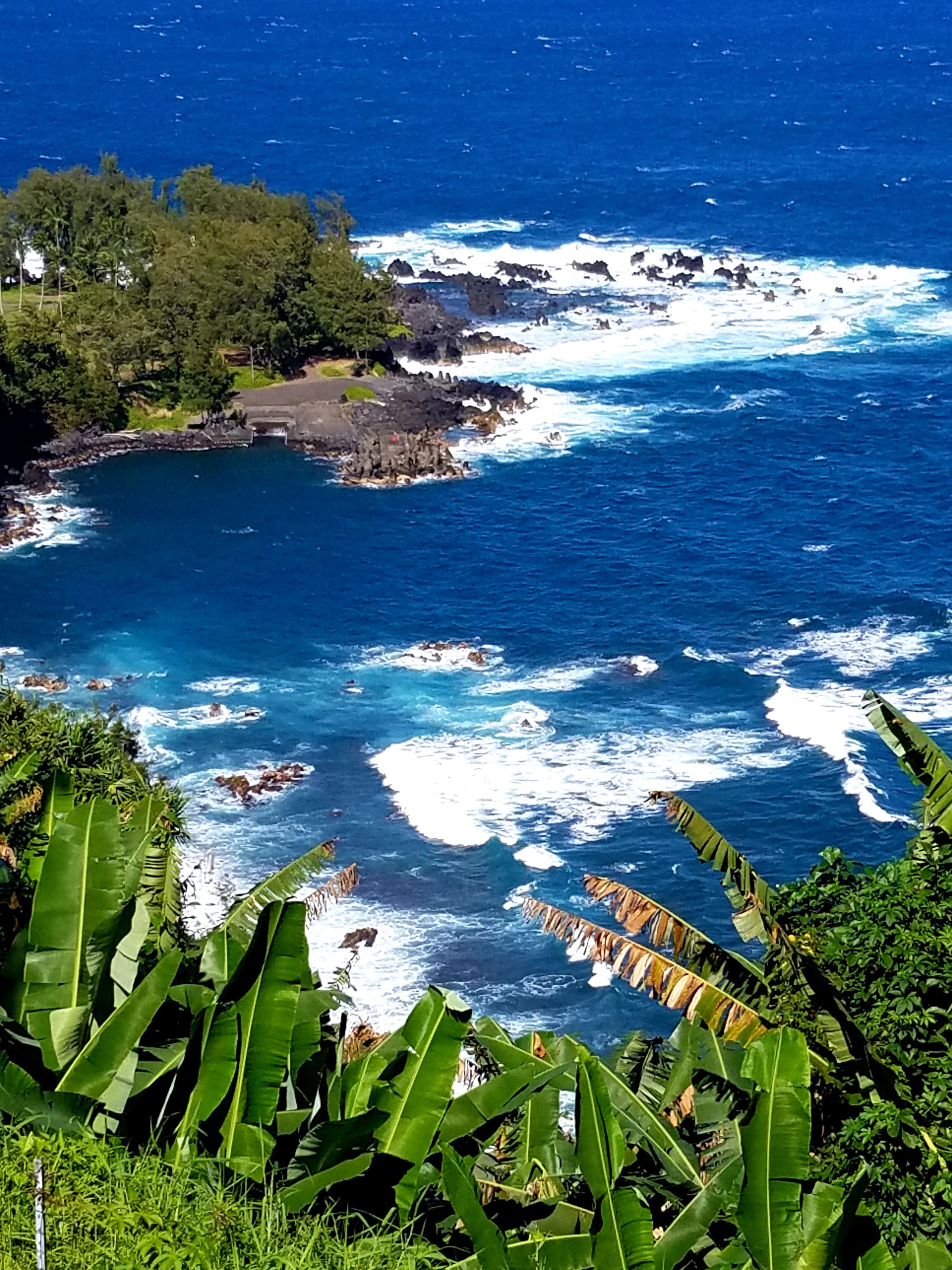Home in Laupahoehoe · ★4.94 · 2 bedrooms · 2 beds · 1.5 baths - Photo 17