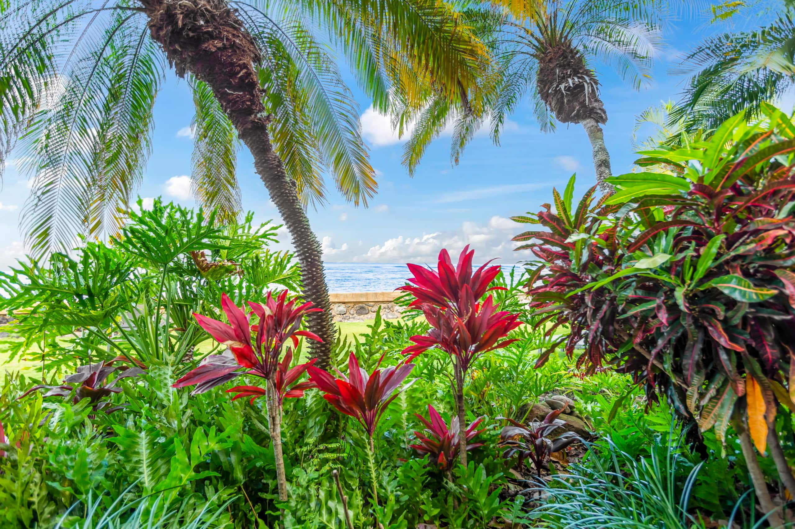Condo in Lahaina · ★4.97 · 1 bedroom · 1 bed · 1 bath - Image 38