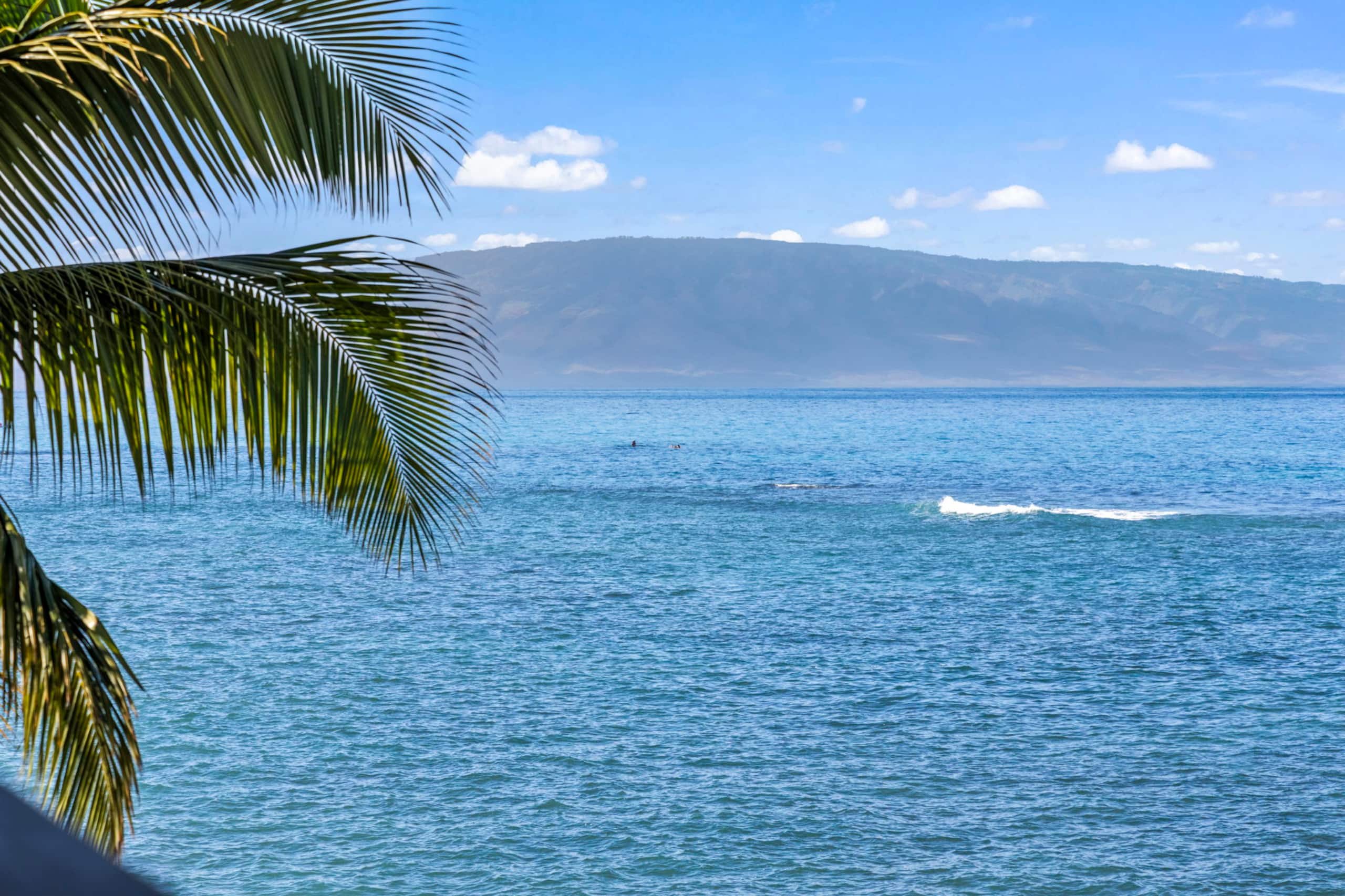 Condo in Lahaina · ★4.97 · 1 bedroom · 1 bed · 1 bath - Image 21