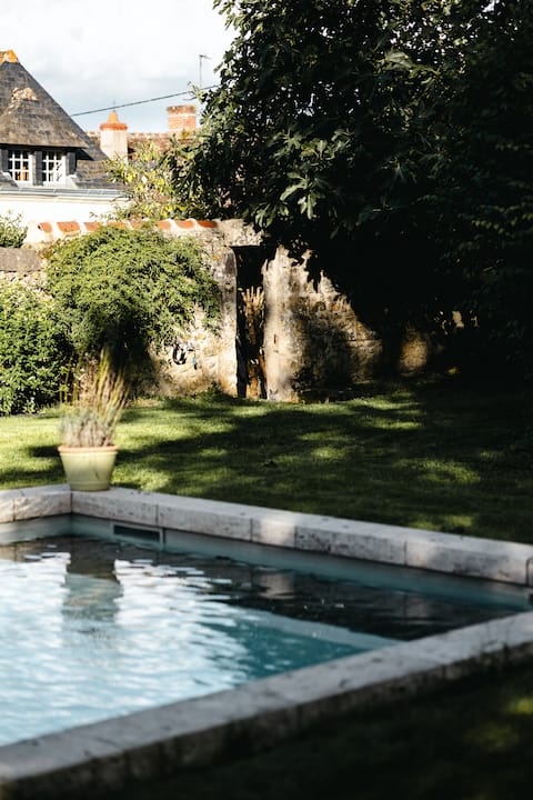 Charming house with pool in Loire Valley