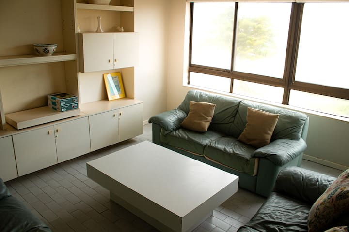 Spacious Luxury Flat Surfers Paradise