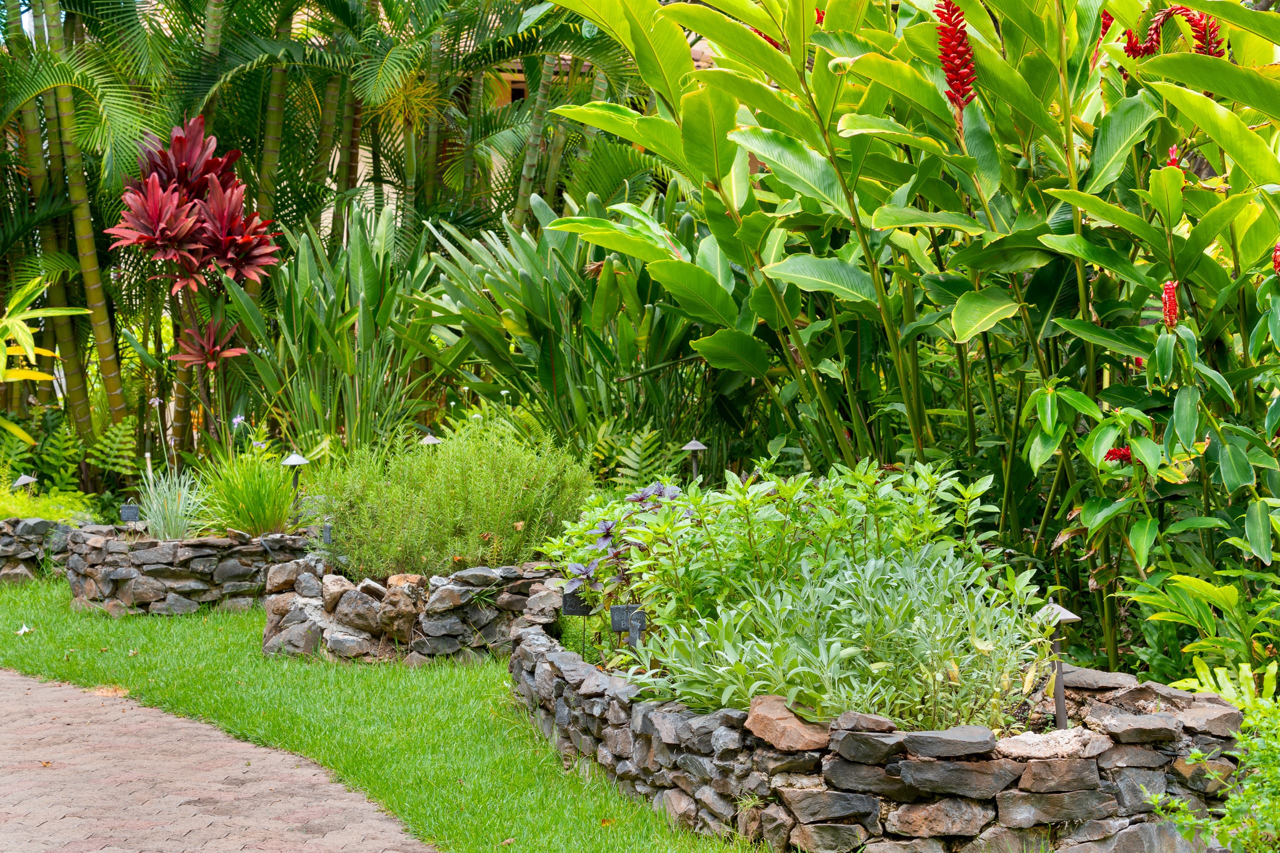 Condo in Kihei · ★4.87 · 2 bedrooms · 3 beds · 2 baths - Image 41
