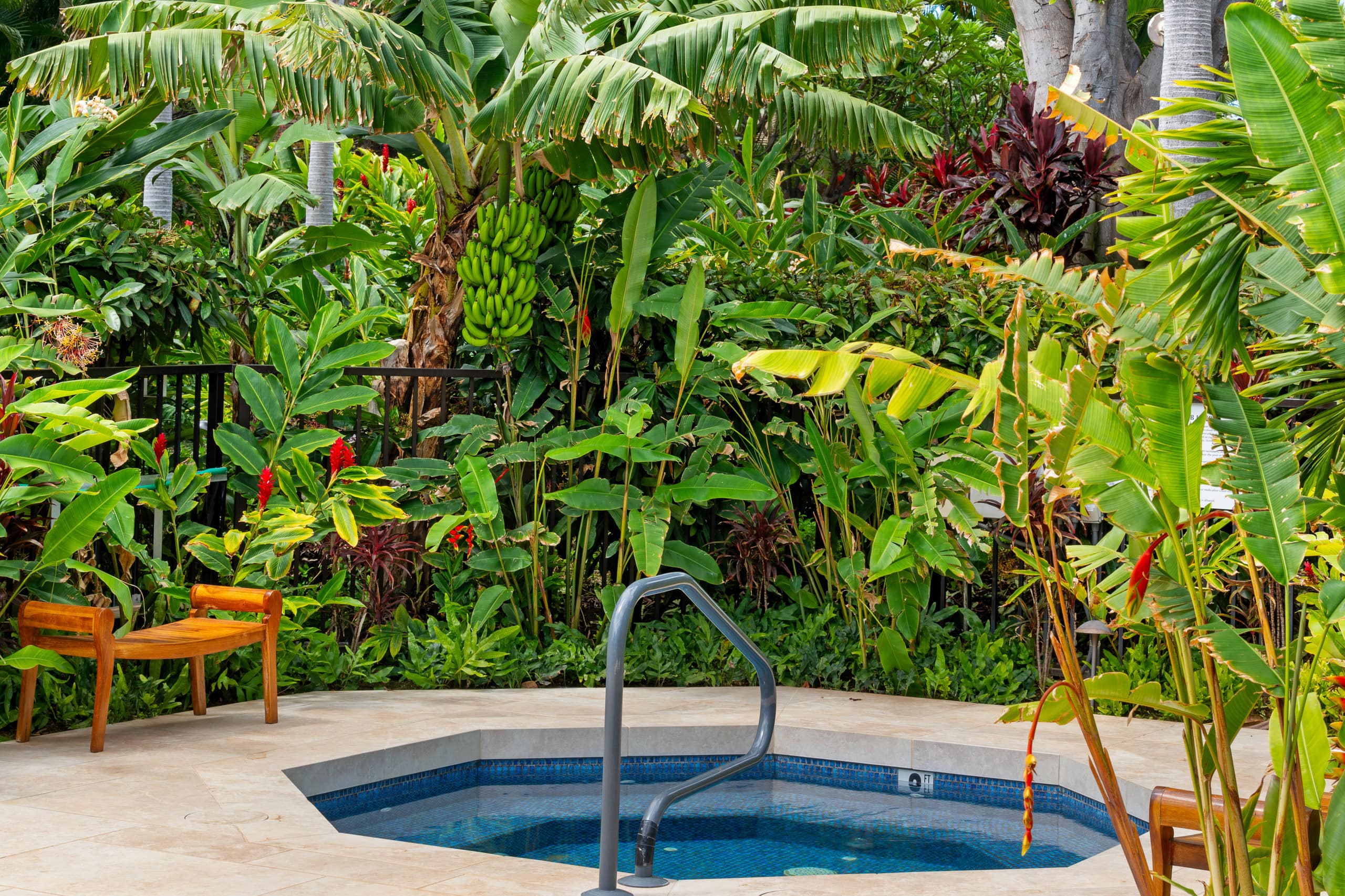 Condo in Kihei · ★4.87 · 2 bedrooms · 3 beds · 2 baths - Image 49