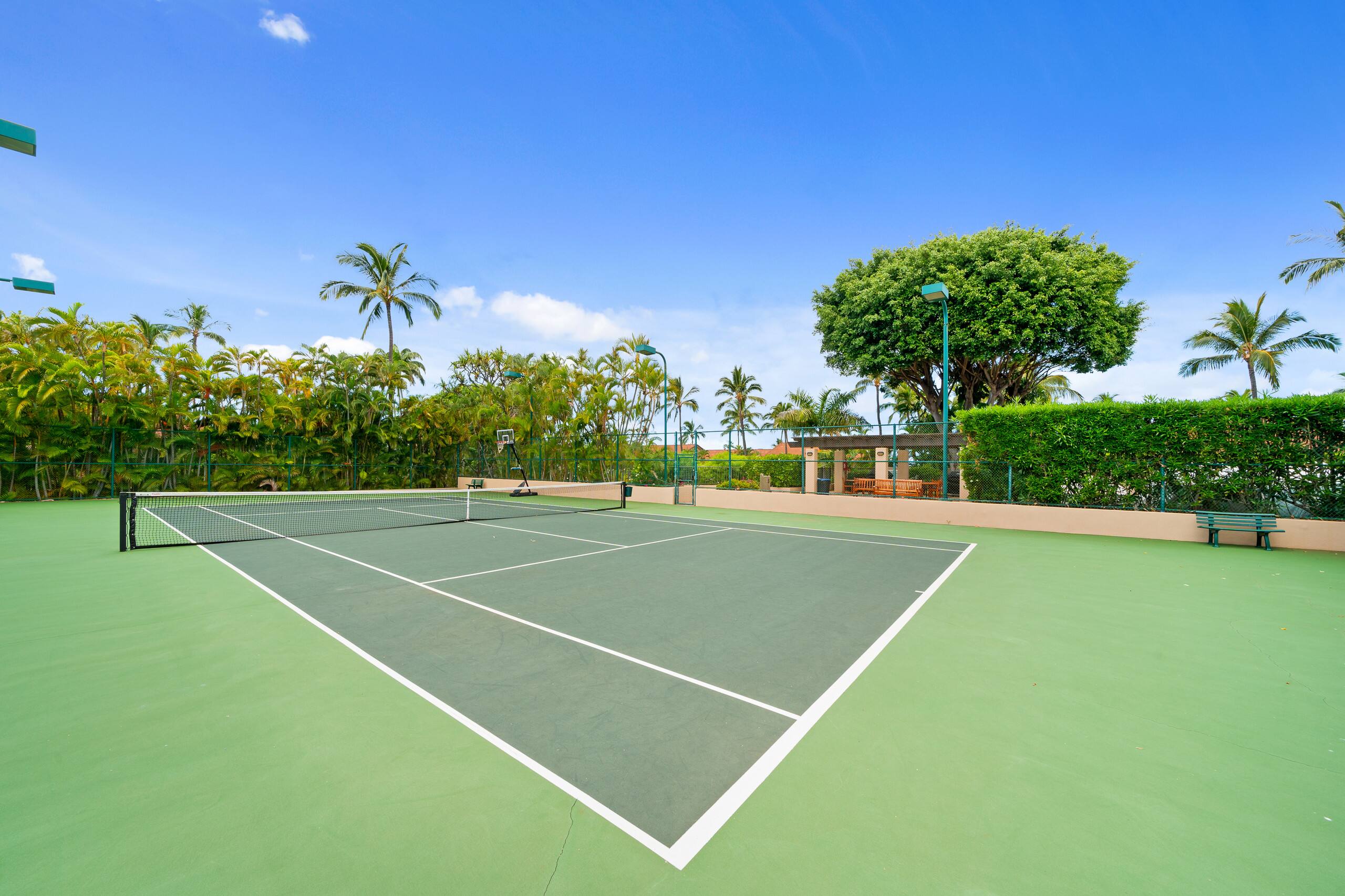 Condo in Kihei · ★4.87 · 2 bedrooms · 3 beds · 2 baths - Image 39