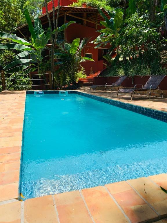 A shaded outdoor area features a vibrant blue swimming pool surrounded by lush greenery. Deck chairs are positioned along the poolside, inviting relaxation. The backdrop includes a home partially obscured by palm and banana trees, contributing to a natural and serene environment.