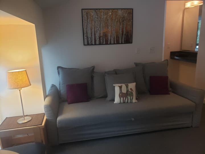 Angalia theluji safi kutoka kwenye starehe ya chumba chako chenye starehe. Kochi hili la mtindo wa futoni la IKEA hubadilika kuwa kitanda cha ukubwa wa malkia. Mashuka yote ya kitanda yako kwenye kabati la nguo katika chumba cha kulala.